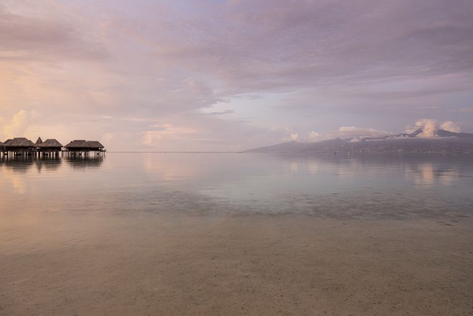 Moorea Highligts: Blue Laggon Shore Attractions and Lookouts - Tropical Garden Exploration