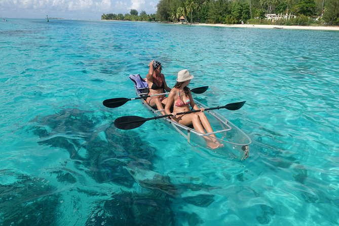 Moorea Lagoon Tour by Transparent Kayak - Cancellation Policy