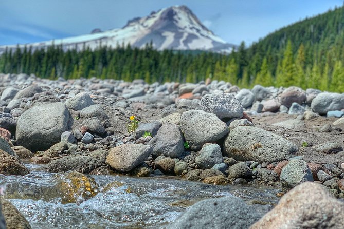 Mt Hood Day Trip From Portland to Multnomah Falls and Hood River - Tour Guides Expertise