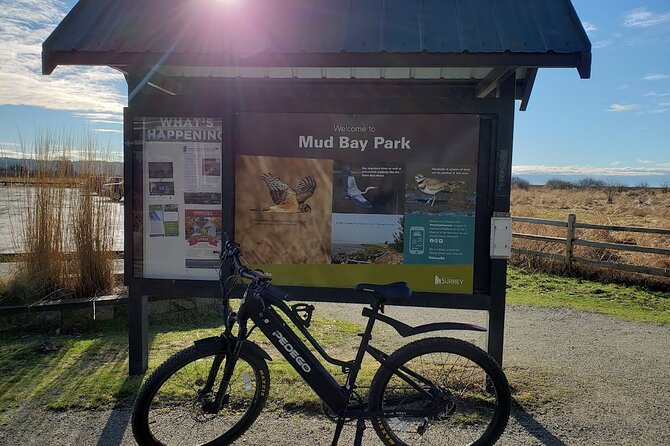 Mud Bay Park Bicycle Rental - Review Information