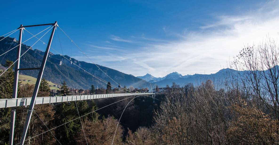 Nature Park Blue Lake, Panorama Bridge and Lake Thun Cruise - Experience Highlights