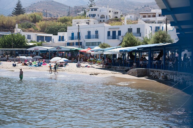 Naxos Highlights Bus Tour With Free Time for Lunch and Swimming - Customer Reviews and Satisfaction