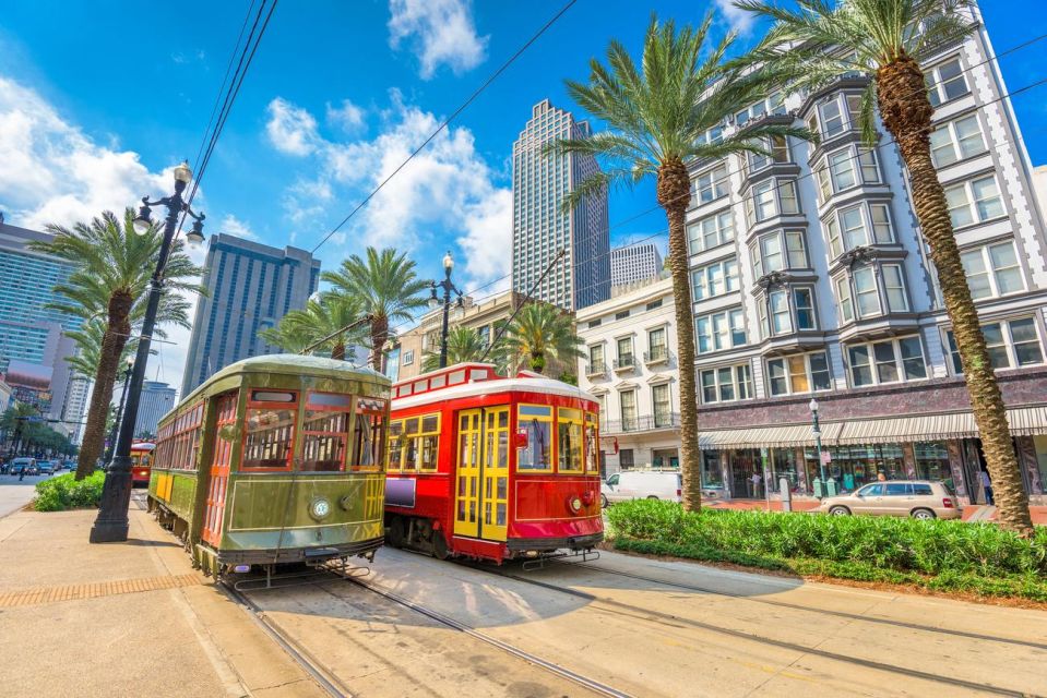 New Orleans: Guided City Drive and Steamboat Cruise - Activity Description