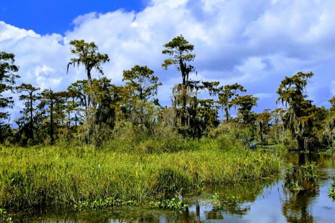 New Orleans Large Airboat Swamp Tour - Guest Experiences Overview