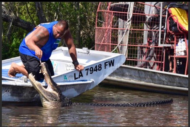 New Orleans Small-Group Airboat Swamp Tour - Viator Information