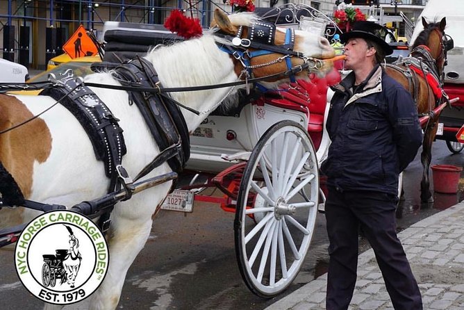 New York City: Central Park Private Horse-and-Carriage Ride - Reviews and Ratings