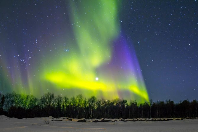 Northern Lights and Chena Hot Springs Tour From Fairbanks - Tour Guide Experience