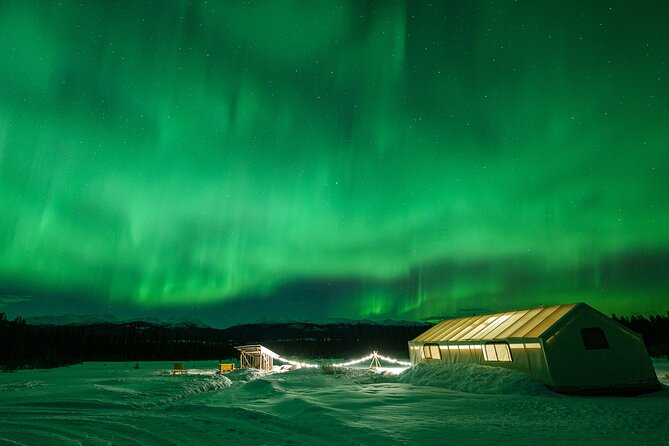 Northern Lights & Aurora Borealis Viewing - Small Groups - Additional Information for Visitors