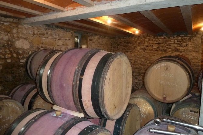 Northern Rhône Valley Wine Half Day Tour From Lyon - Common questions