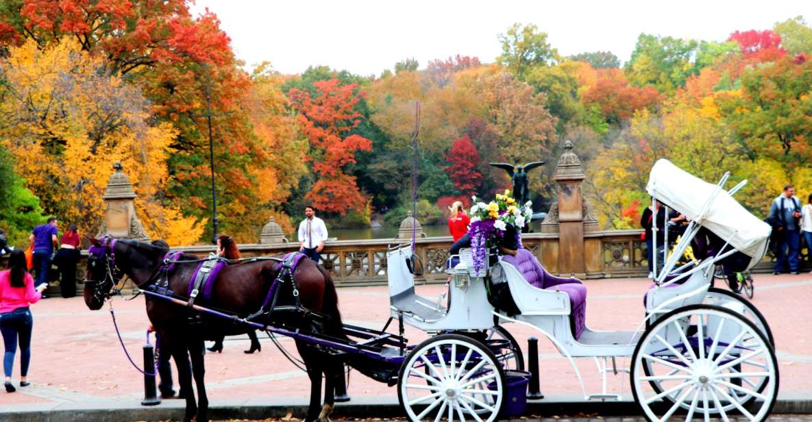 NYC: Central Park Horse-Drawn Carriage Ride (up to 4 Adults) - Detailed Description
