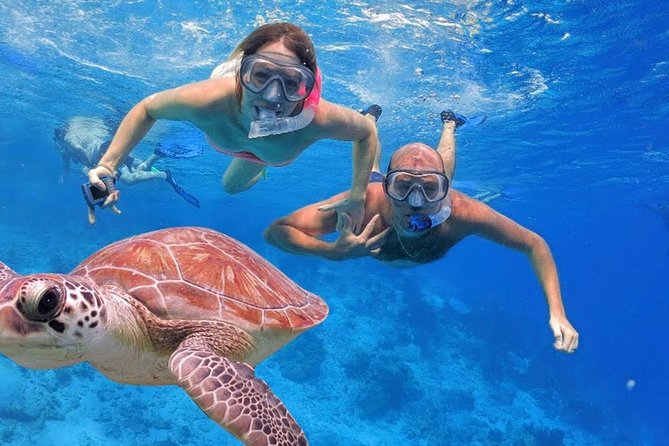 Oahu Ultimate Circle Island Tour Full Day Experience - Tour Reviews and Recommendations