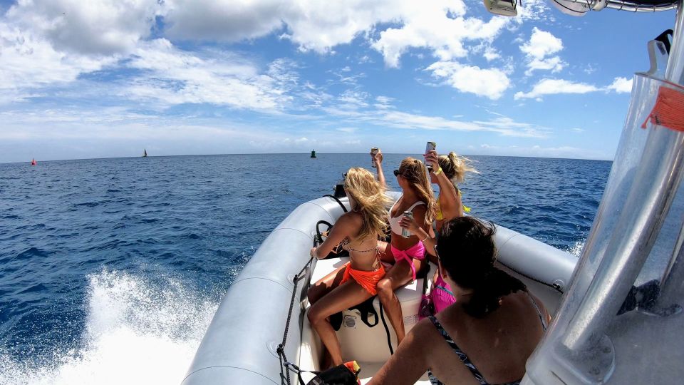 Oahu: Waikiki Private Snorkeling and Wildlife Boat Tour - Snorkeling and Wildlife Encounter