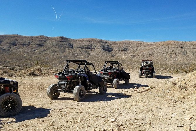 Off Road Mojave Desert Tour in Las Vegas - Requirements and Recommendations