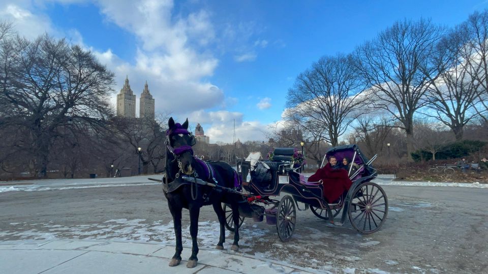 Official VIP Whole Central Park Horse Carriage Tour - Tour Highlights