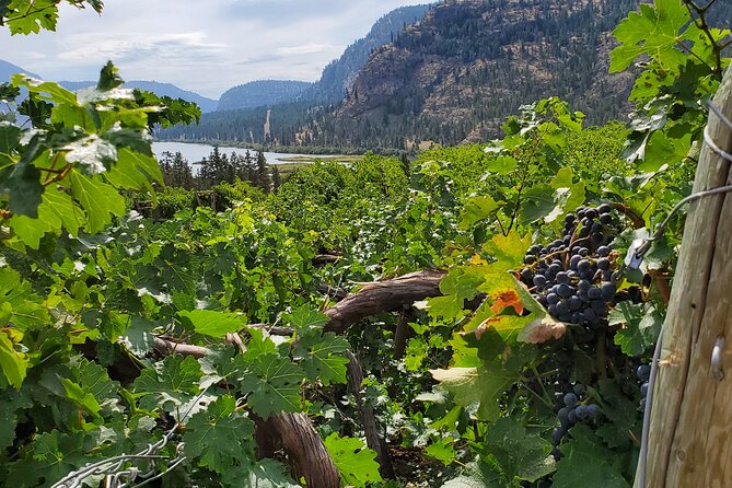 Okanagan Falls Private Wine Tour - Full Day - Cancellation Policy