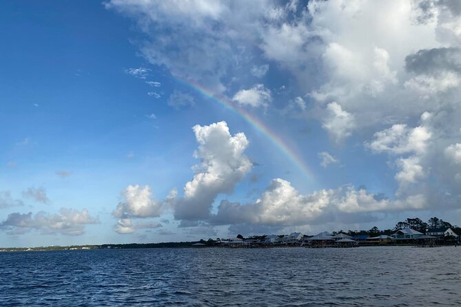 Orange Beach Dolphin Eco Boat Tour - Customer Experience