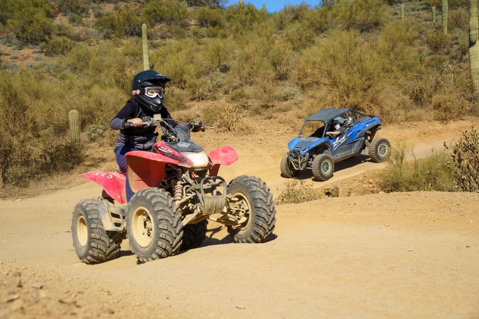 Phoenix: Guided Sonoran Desert Self-Drive UTV Tour - Review Summary