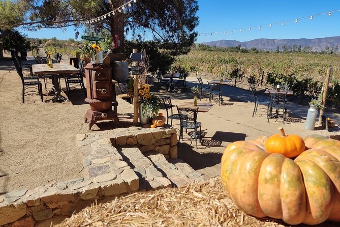 Premium Valle De Guadalupe Wine and Food Tour - Culinary Delights