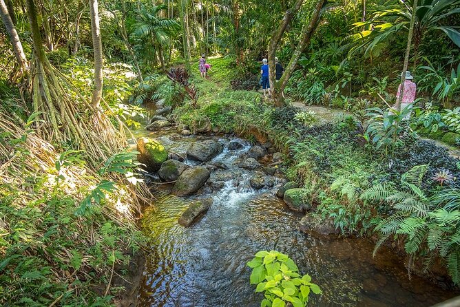 Princeville Botanical Gardens Tour and Chocolate Tasting Ticket - Cancellation Policy