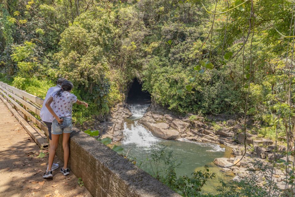 Private - All Inclusive Big Island Waterfalls Tour - Tour Highlights