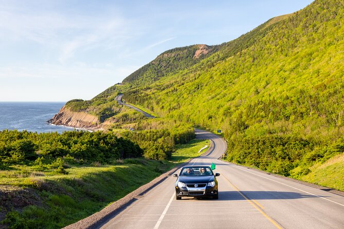 Private Cruise Excursion in Cape Breton - Booking Details and Pricing Information