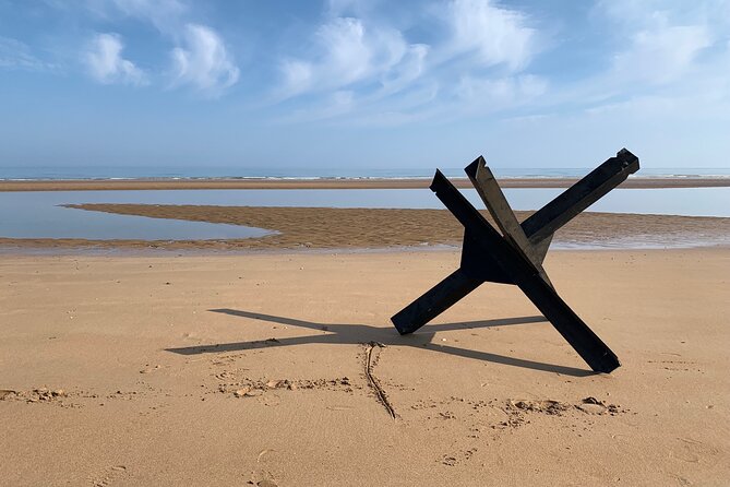 Private Guided Tour of the D-Day Landing Beaches From Havre - Guide and Itinerary Highlights