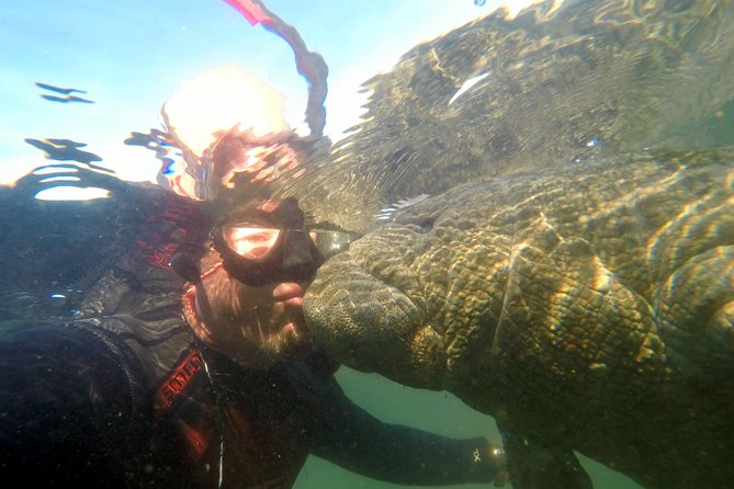 Private Manatee Swim for up to 6 With In-Water Divemaster/Photographer - Logistics and Meeting Points