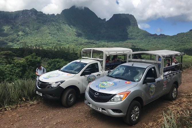 Private Morning Moorea 4WD Tour With Champagne - Cancellation Policy