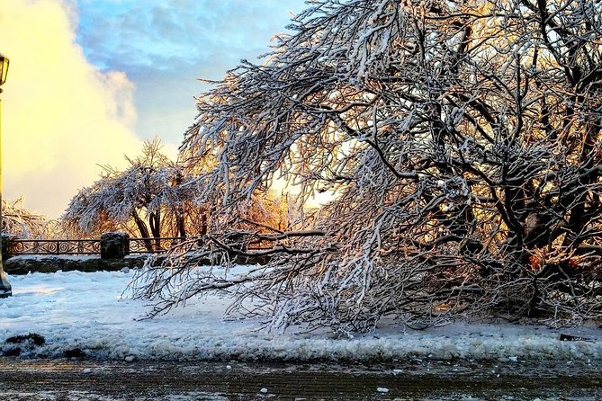 Private Niagara Ice Wine Tour - Pricing Details