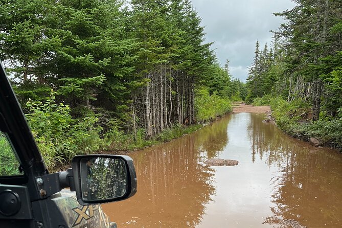 Private Shore Excursion UTV/ATV Side-by-Side Trail Tour - Booking and Pricing Information