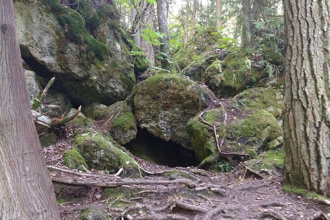 Private Singhampton Caves Hike, Collingwood/Blue Mtn/Creemore - Cancellation Policy Details