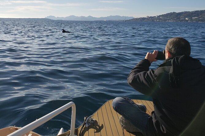 Private Solar Catamaran Cruise in Antibes Juan Les Pins - Additional Information