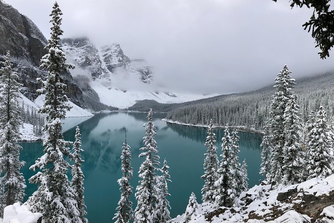 Private Tour of Lake Louise and the Icefield Parkway for up to 12 Guests - Guest Reviews and Testimonials