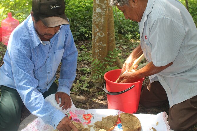 Private Tour to Chichen Itza & Mayan Ruins of Yaxunah - Tour Inclusions