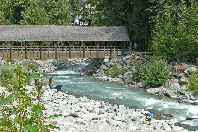 Private Tour: Whistler Day Trip From Vancouver - Customer Reviews Summary