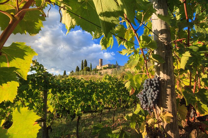 Private Tuscany Tour From Florence Including Siena, San Gimignano and Chianti Wine Region - Reviews & Testimonials