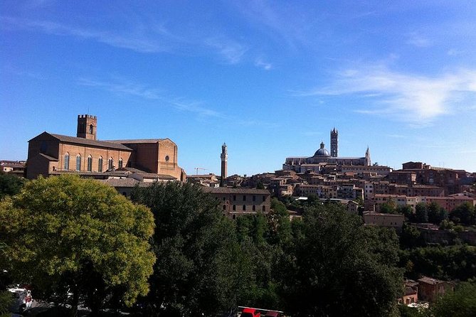 Private Tuscany Tour: Siena, San Gimignano and Chianti Day Trip - Customer Reviews and Feedback