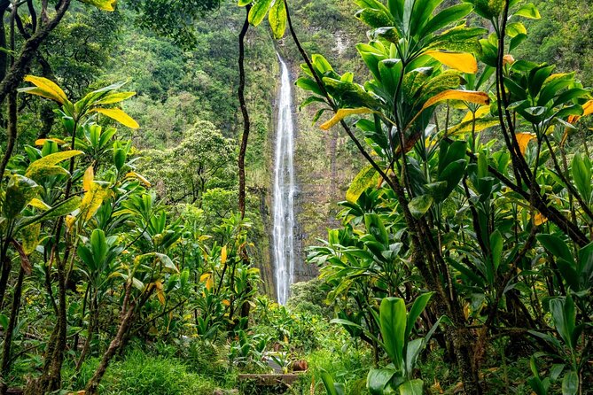 Private VIP Road to Hana Tour With Pick up - Customer Experiences and Testimonials