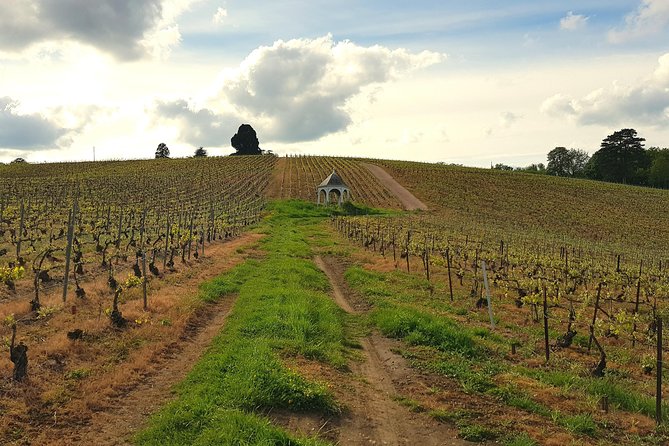 Private Wine Tour to Champagne Region From Paris - Pricing Information