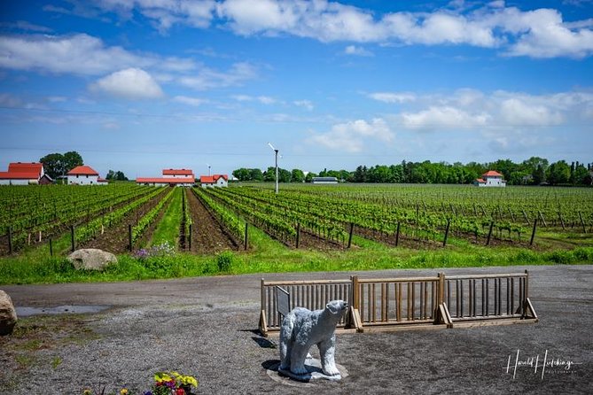 Private Winery Tour of Niagara-on-the-Lake - Customer Feedback