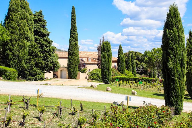 Provence - Mont Sainte Victoire in Search of Cézanne Private Wine Tour - Additional Information