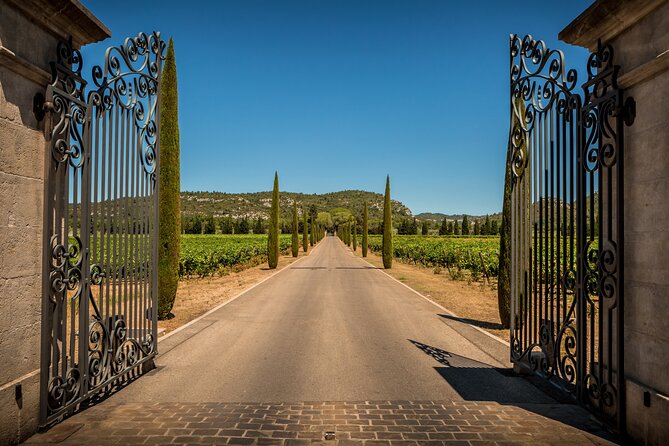 Provence Small Group Half-Day Wine Tour From Aix - Expert Guide Insights