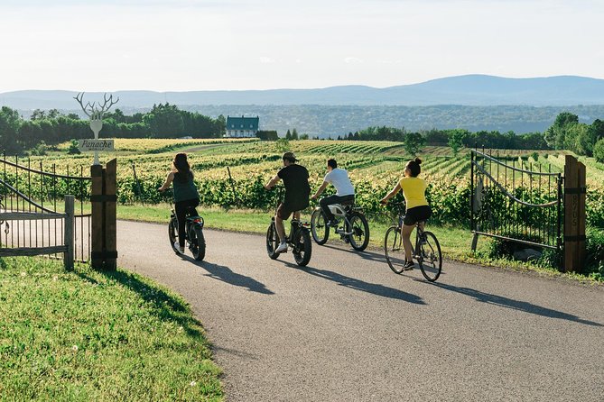 Quebec City : Guided E-Bike Food Tour on Ile Dorleans - Traveler Experience