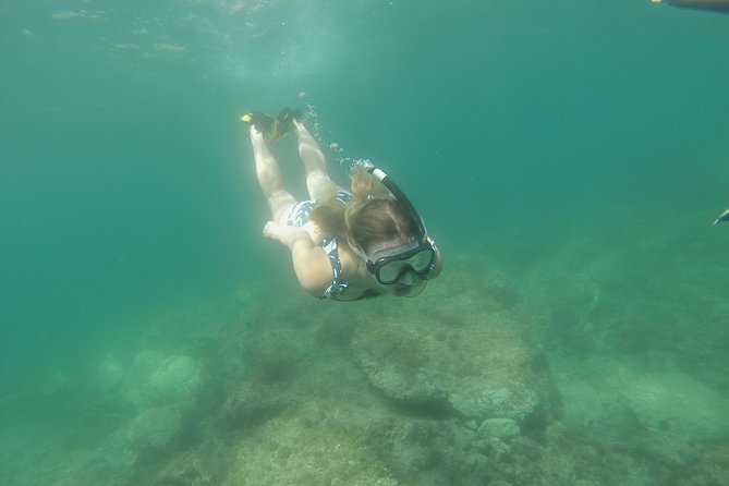 Rando-Palmée Getaway Around an Island - Guided Underwater Tour