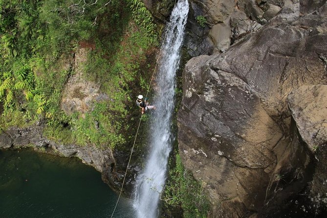 Rappel Maui Waterfalls and Rainforest Cliffs - Guide Feedback and Participant Experiences