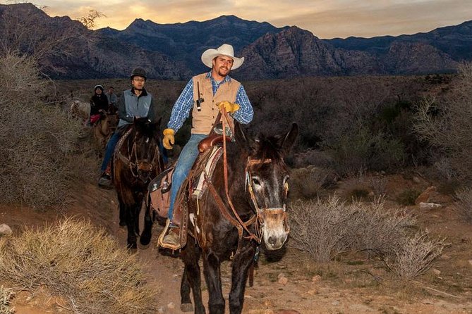 Red Rock Canyon Sunset Horseback Ride and Barbeque Dinner - Customer Feedback