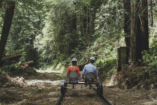 Redwoods Railbike Along Pudding Creek - Family-Friendly Adventure for All Ages