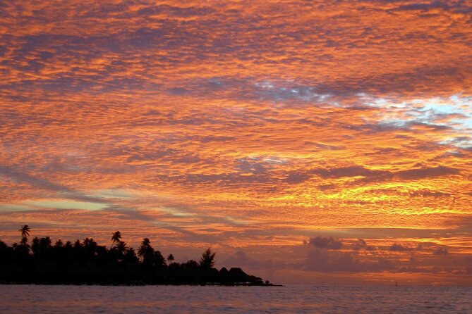 Reef Discovery Private Sunset Cruise in Bora-Bora - Questions and Support