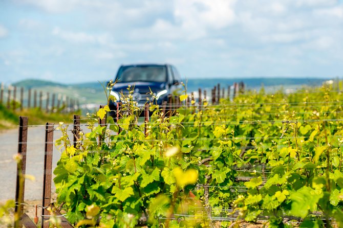 Reims or Epernay Region : Private Minivan Day Tour With Driver Guide at Disposal - Pickup Details