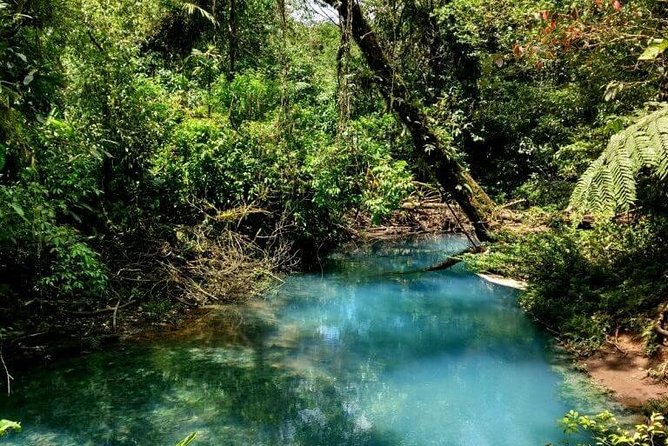 Rio Celeste Full-Day Tour From La Fortuna - Tour Experience